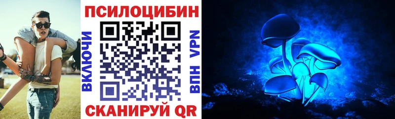 как найти Берёзовка Псилоцибиновые грибы ЛСД